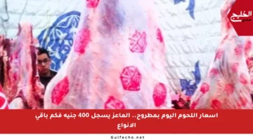 أسعار اللحوم اليوم بمطروح.. الماعز يسجل 400 جنيه فكم باقي الأنواع